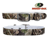 Mossy Oak - Break Up Country Dog Collar Dog Collar C4 BELTS