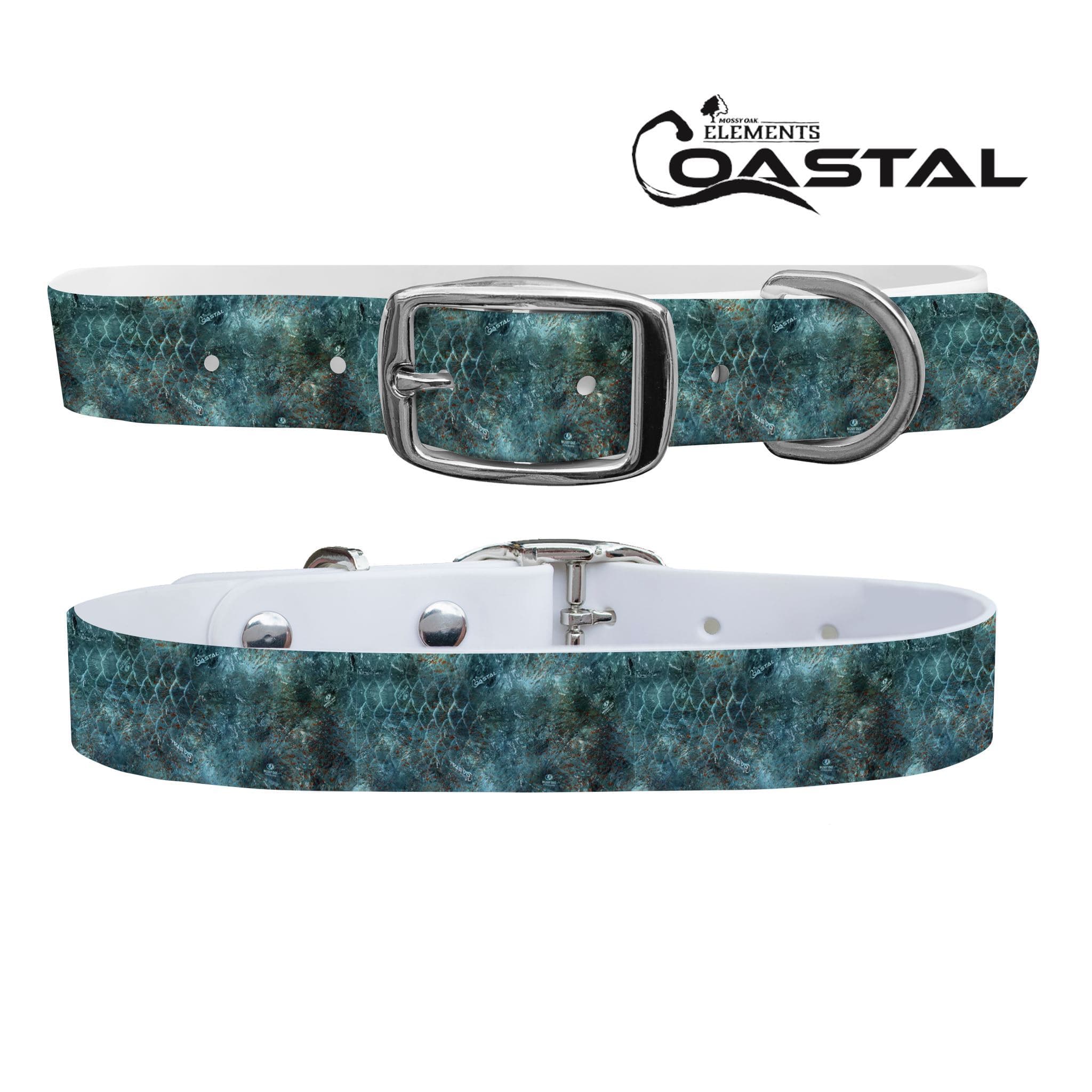 Mossy Oak - Coastal Kingfisher Collar Dog Collar C4 BELTS