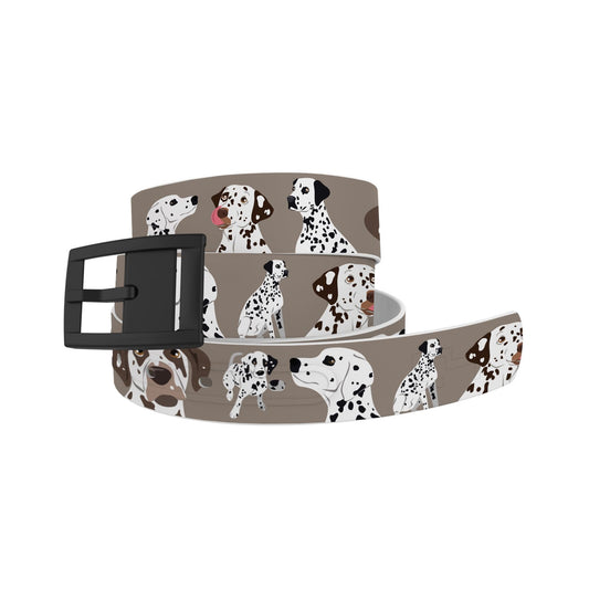 Dalmatian Belt Belt-Classic C4 BELTS