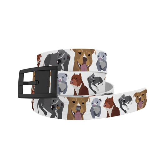 Pitbull Belt Belt-Classic C4 BELTS
