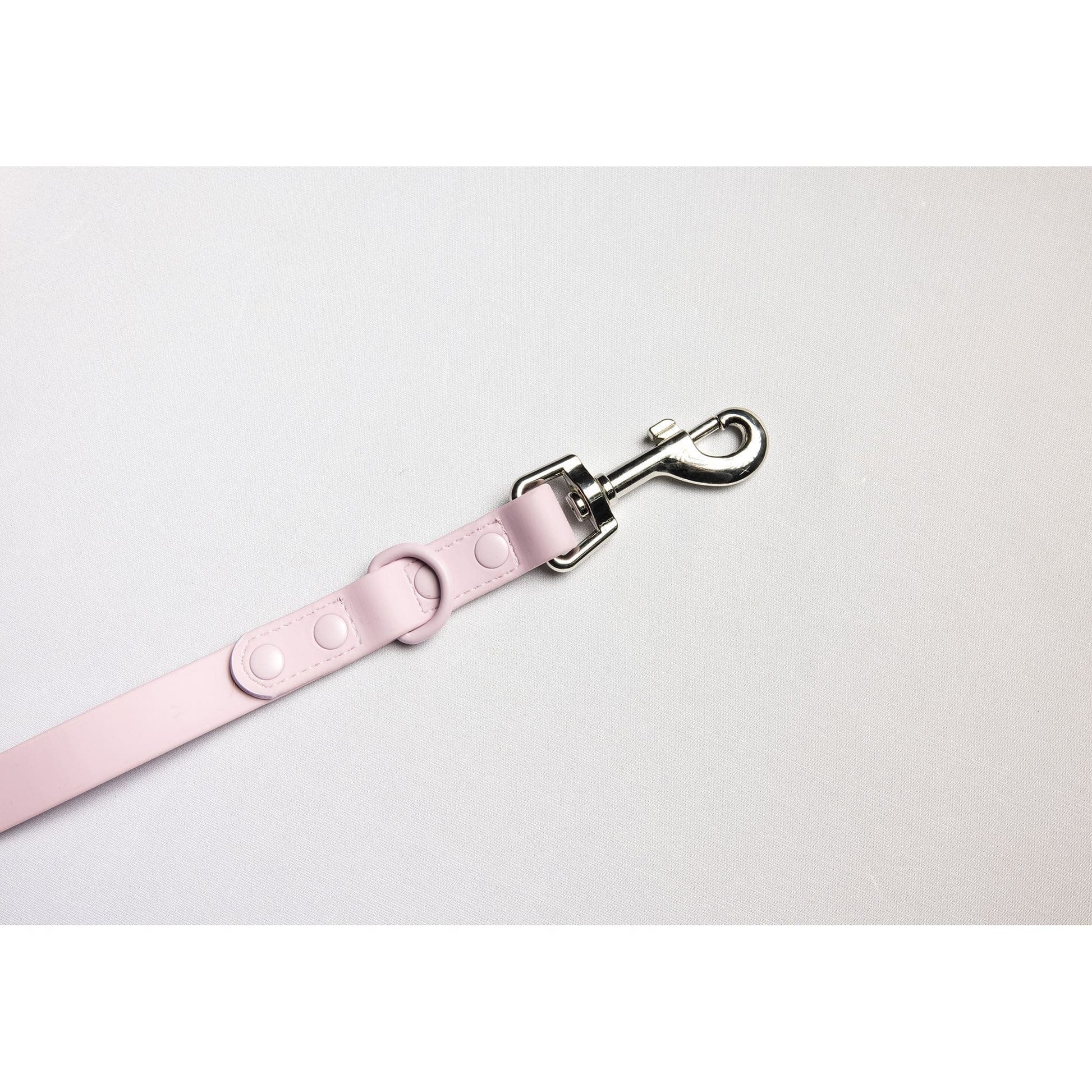 C4 Adventure Leash Accessories C4 BELTS