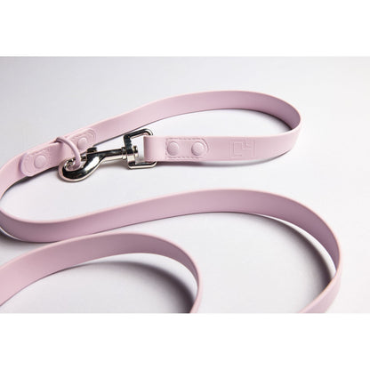 C4 Adventure Leash Accessories C4 BELTS