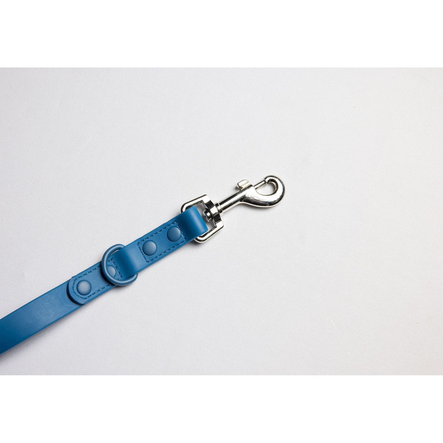 C4 Adventure Leash Accessories C4 BELTS