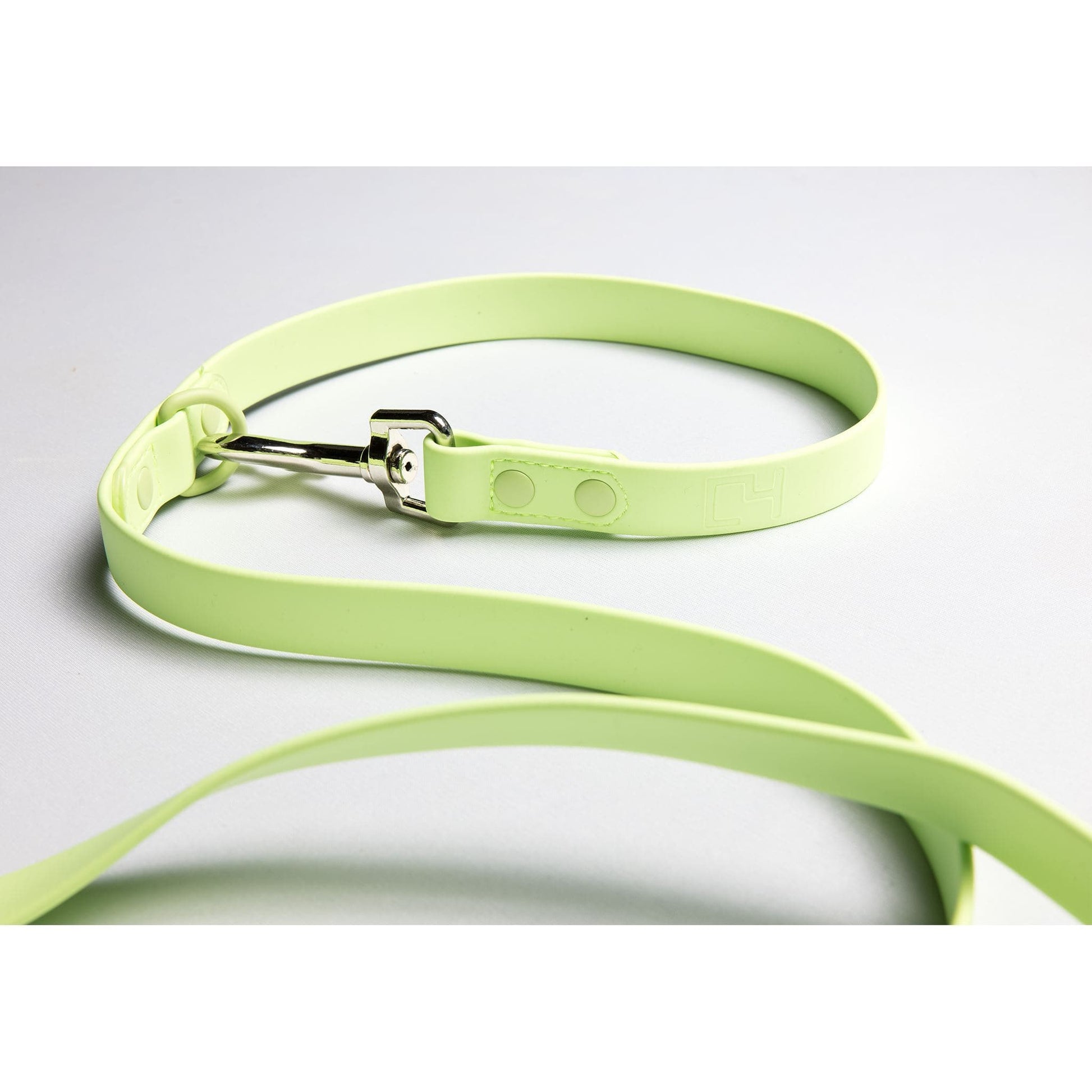 C4 Adventure Leash Accessories C4 BELTS
